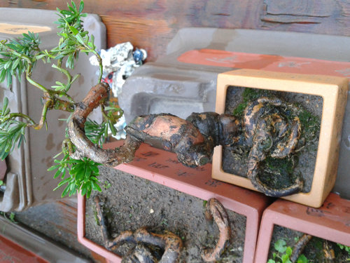 2013-07-15 18.28.29.jpg