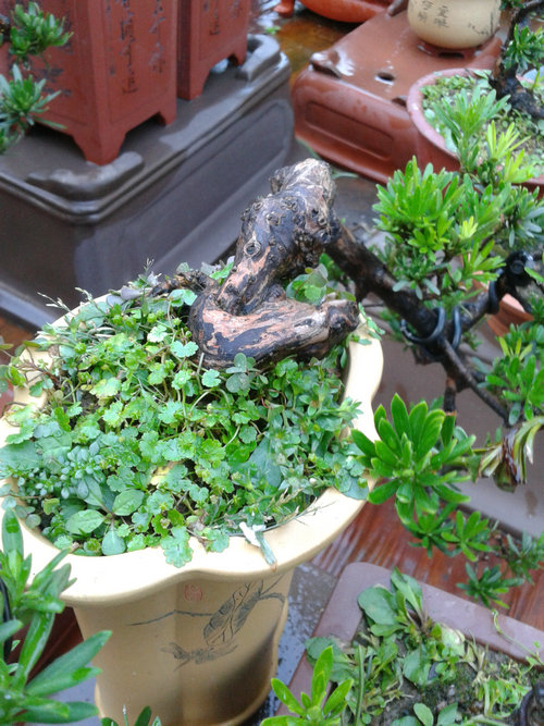 2013-07-15 18.30.53.jpg