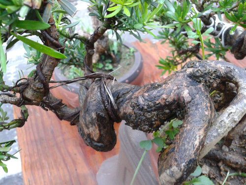 2013-07-15 18.37.26.jpg