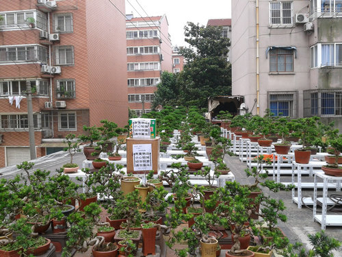 2013-06-11 14.47.16.jpg