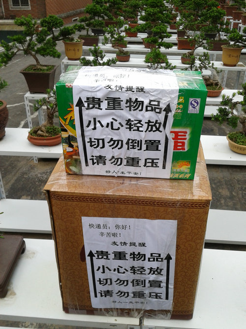 2013-06-11 14.48.21.jpg