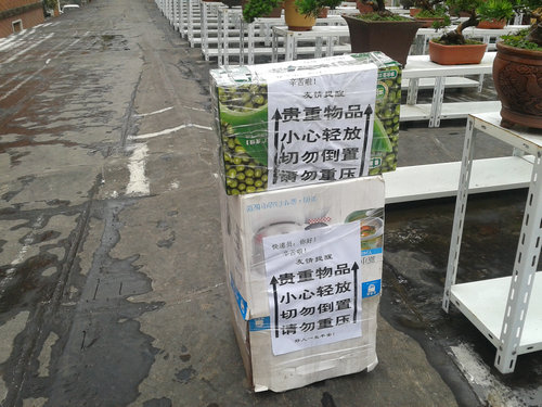 2013-06-23 14.18.19.jpg