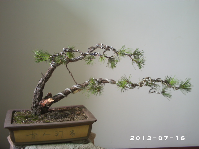 PHOT0120.JPG