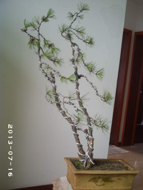 PHOT0118.JPG