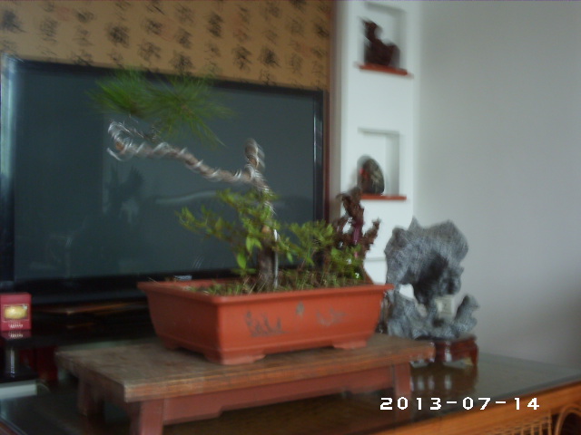 PHOT0112.JPG