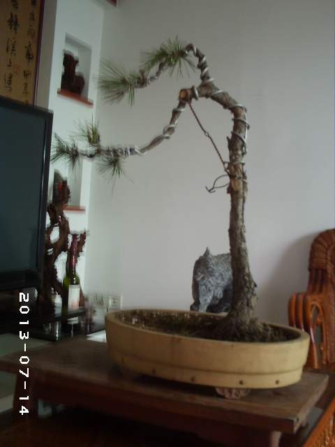 PHOT0115.JPG