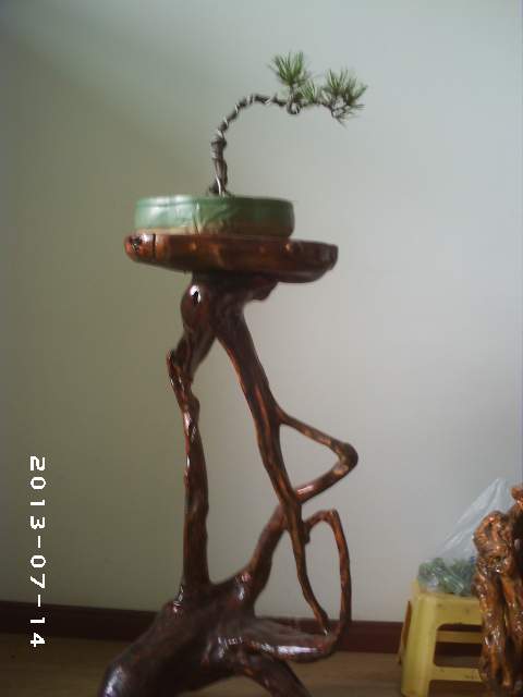 PHOT0116.JPG