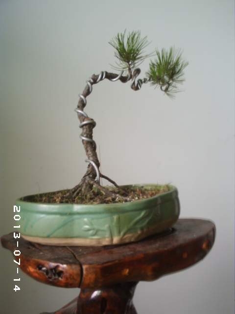 PHOT0117.JPG