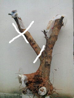 888.PNG