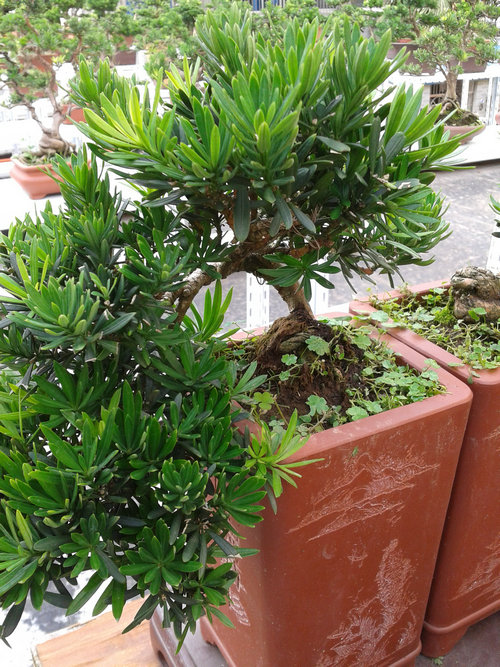 2013-07-07 15.44.11.jpg