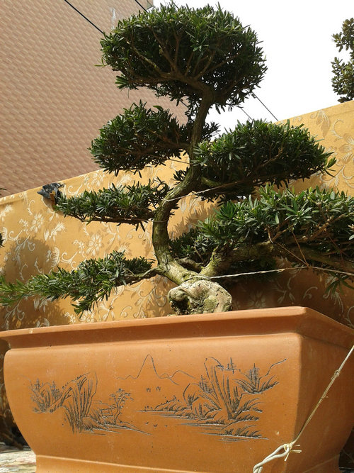 2013-02-15 13.00.30.jpg