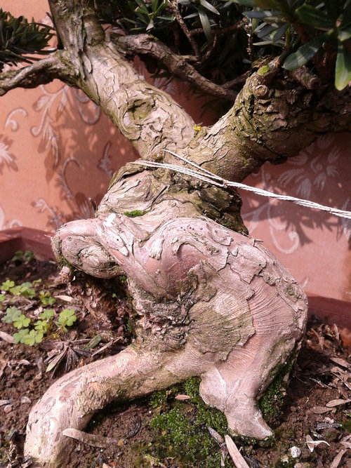 2013-02-15 13.00.43.jpg