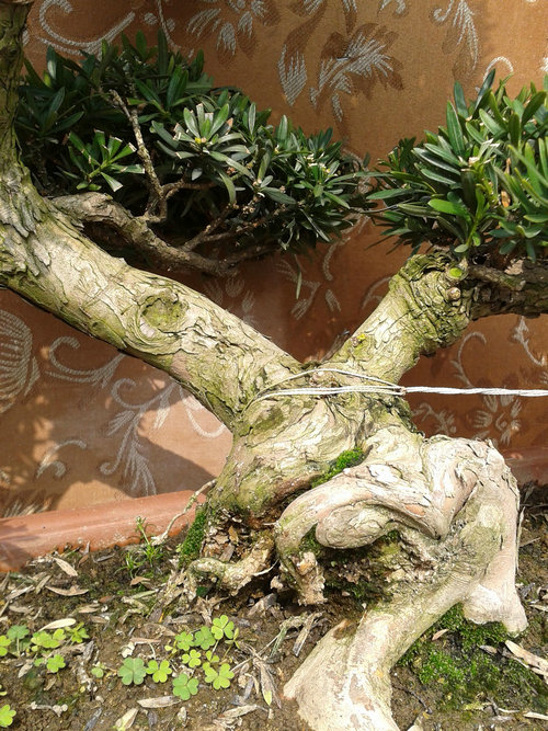 2013-02-15 13.00.57.jpg