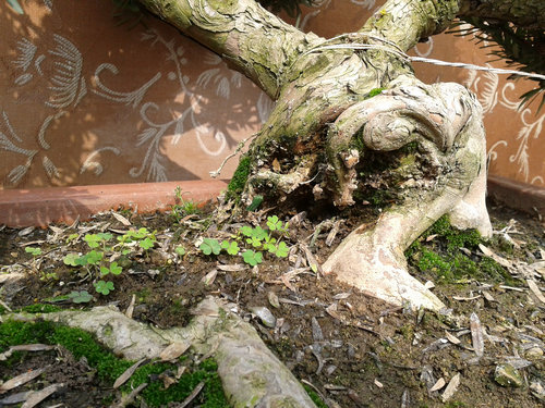 2013-02-15 13.01.13.jpg