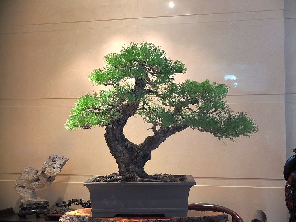 ����� (1).jpg