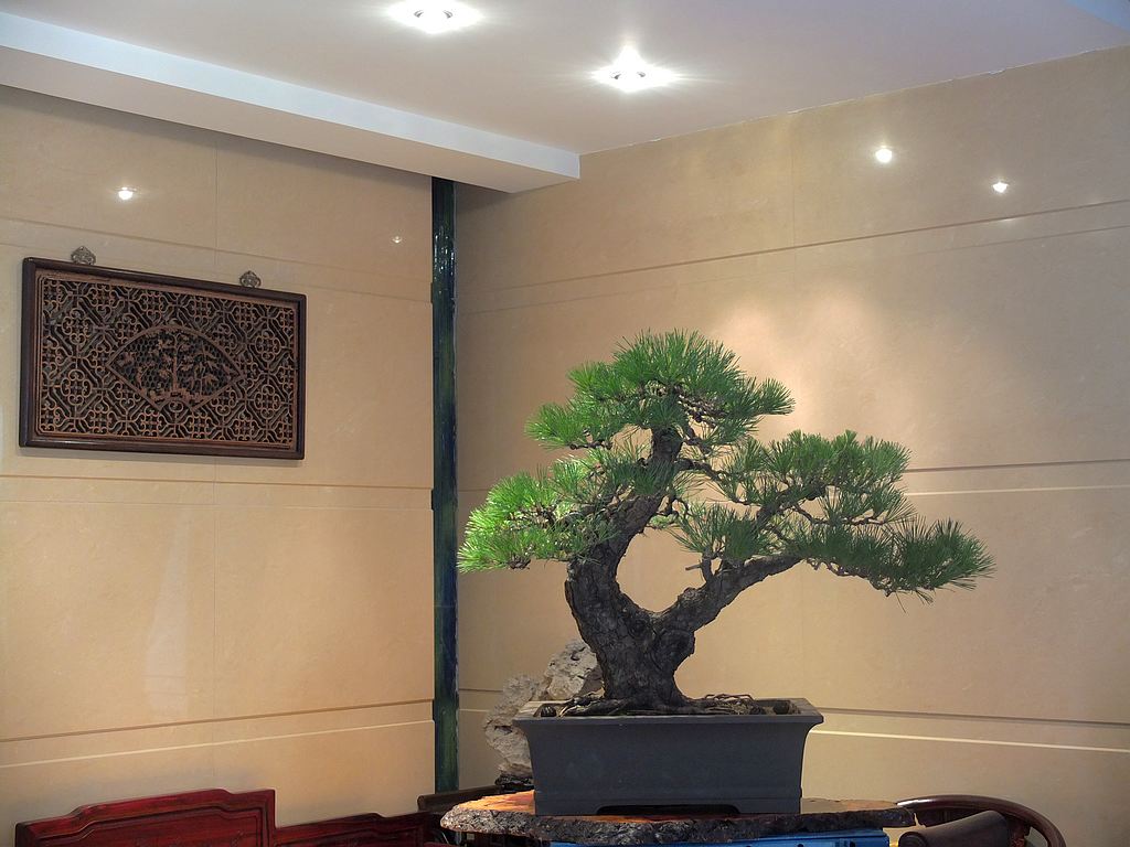 ����� (2).jpg