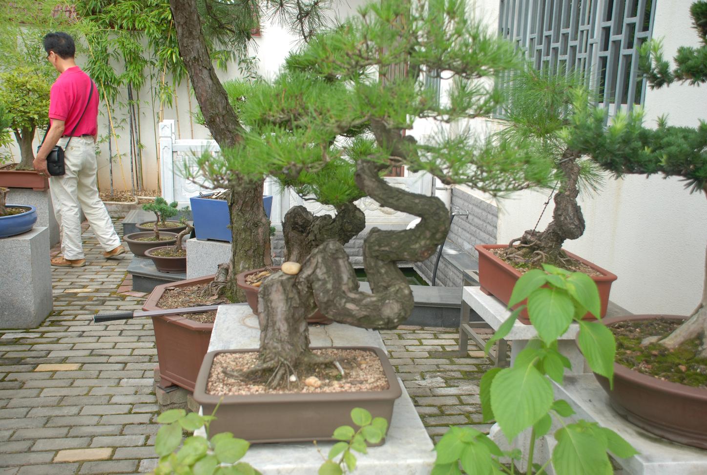 DSC_3364.JPG