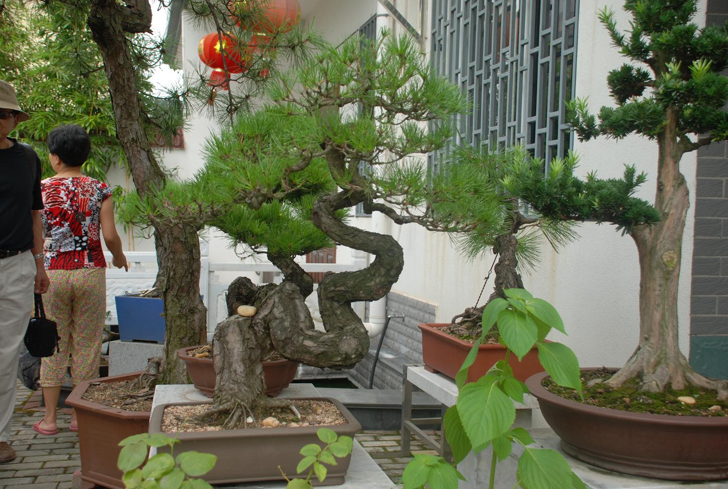 DSC_3377.JPG