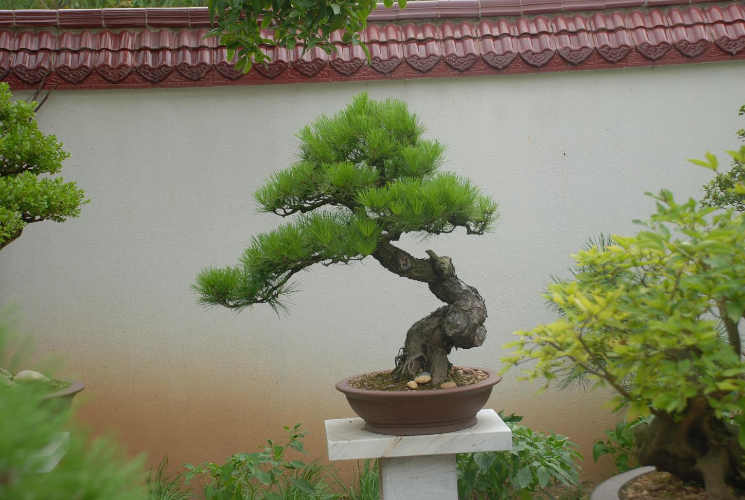 DSC_3396.JPG
