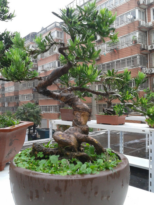 2013-05-18 16.57.47.jpg