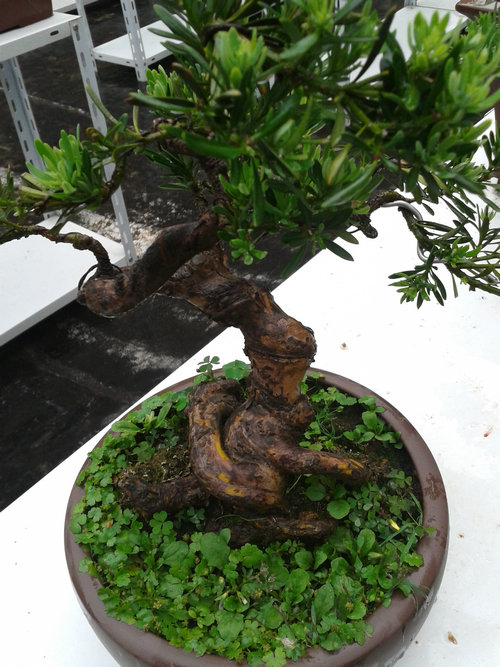 2013-05-18 17.01.02.jpg