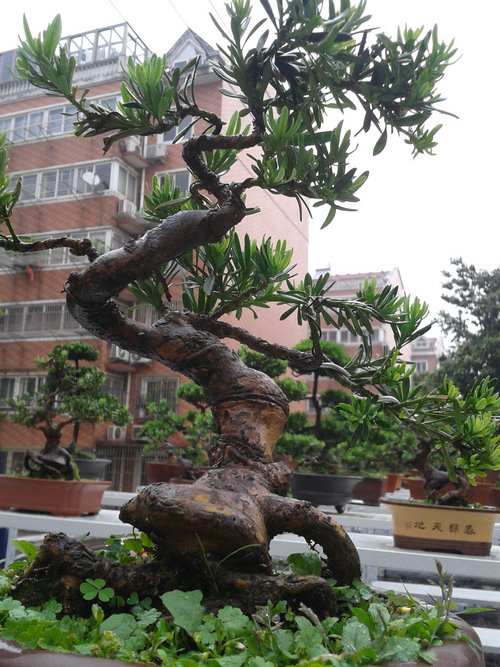 2013-05-18 17.01.50.jpg