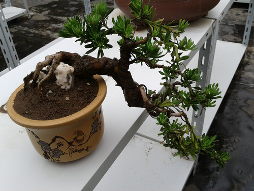 2013-05-17 13.45.01.jpg