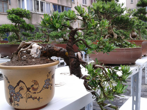 2013-05-17 13.46.24.jpg