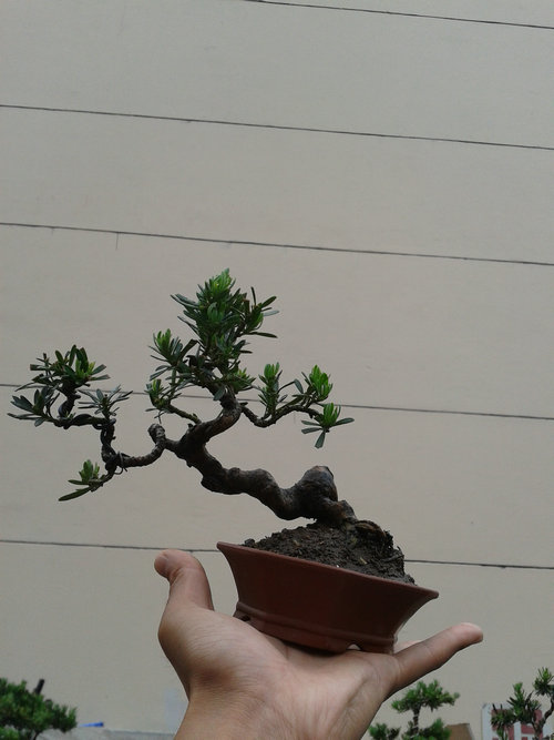 2013-05-17 13.15.23.jpg