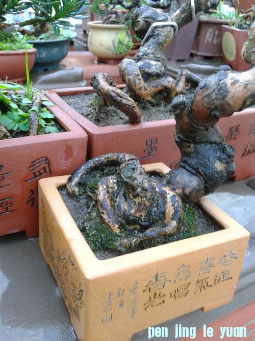 2013-07-15 18.26.19.jpg