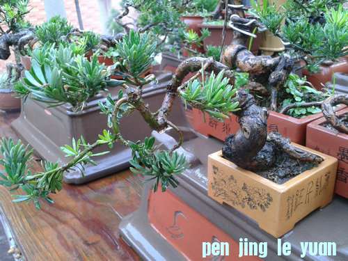 2013-07-15 18.15.34.jpg