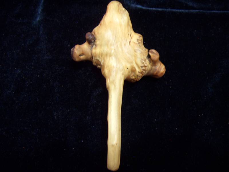 SDC11552_.jpg