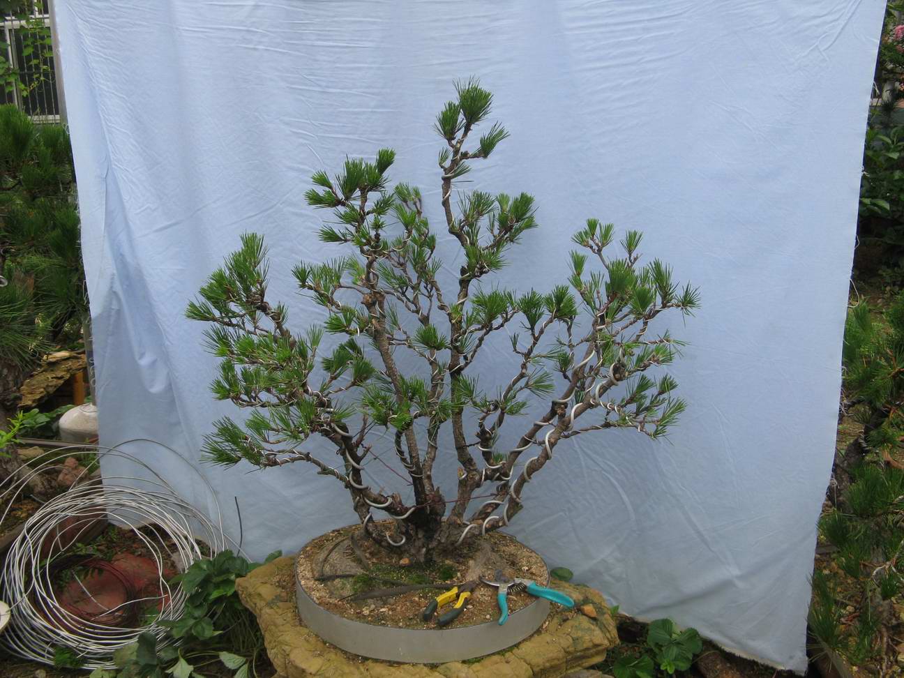 Ƭ 046.jpg