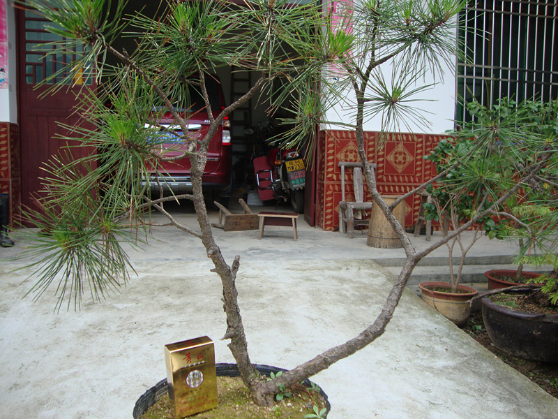 DSC01291_.jpg