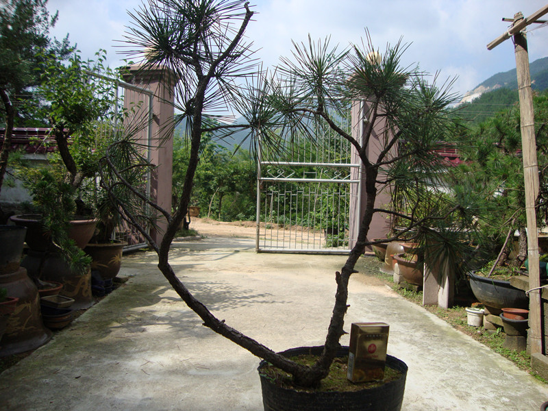 DSC01292_.jpg