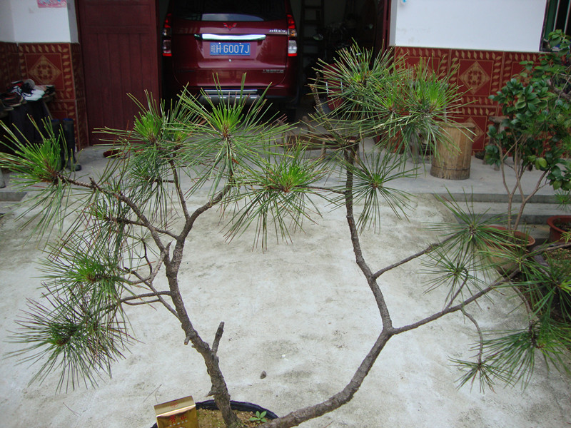 DSC01294_.jpg