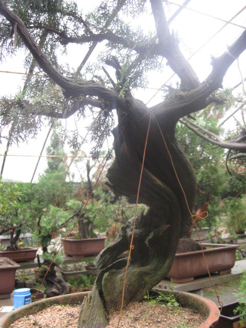 IMG_8024.JPG