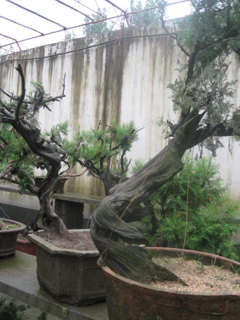 IMG_8027.JPG