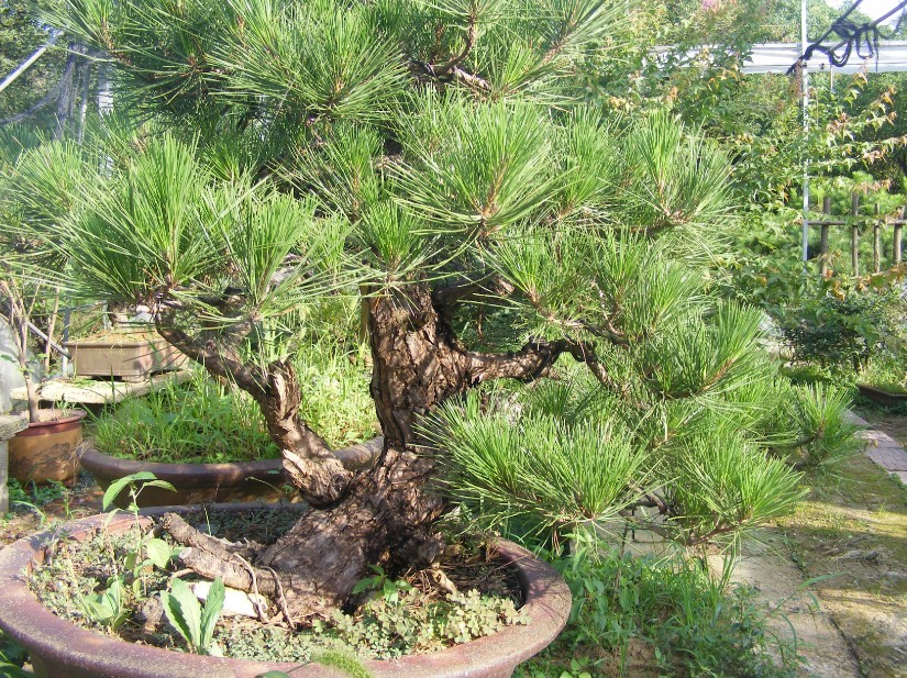 QQͼƬ201307192047503.jpg