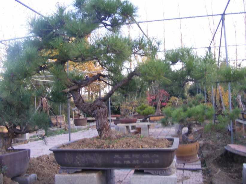 QQͼƬ201307192047342.jpg