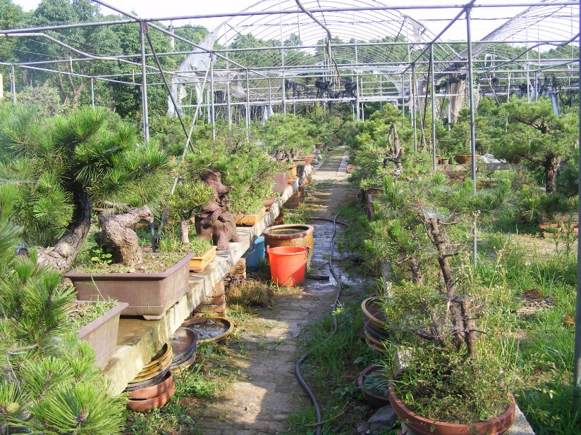 QQͼƬ201307192048194.jpg