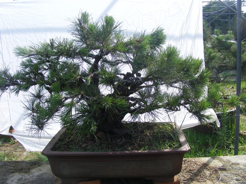 QQͼƬ201307192048365.jpg