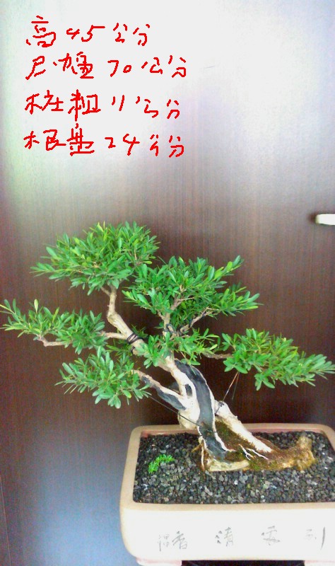IMG0719101700.jpg