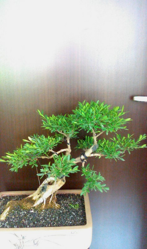 IMG0719102001.jpg