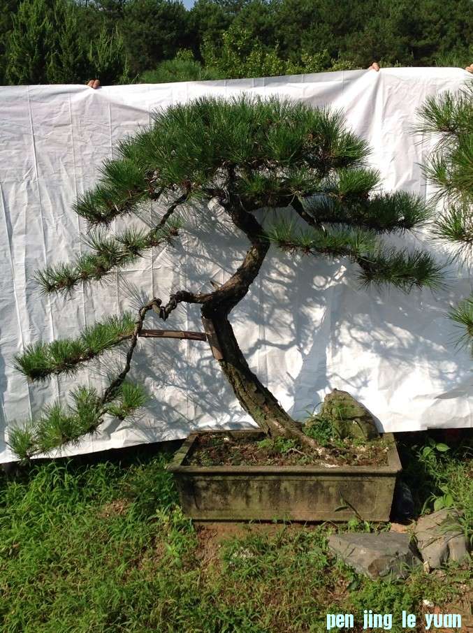 QQͼƬ20130720093527.jpg