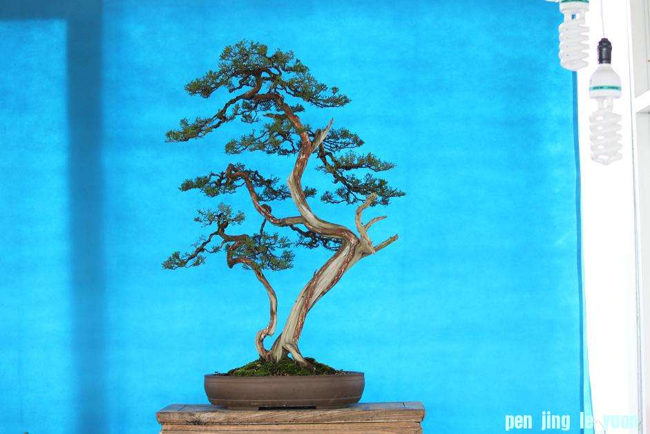 Ƭ 010.jpg