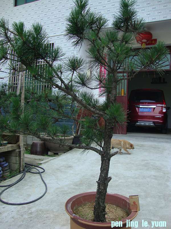 DSC01301_.jpg