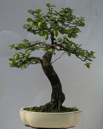 20130708558.jpg