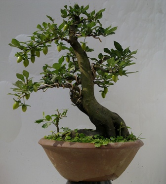 20130708563.jpg