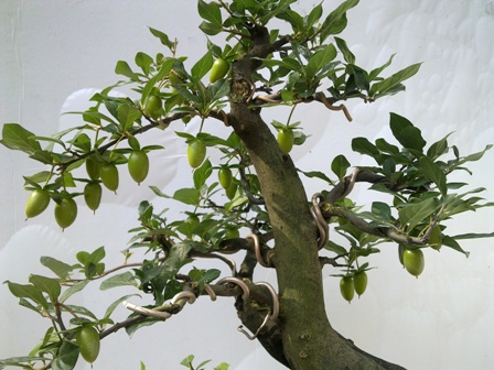 20130708565.jpg
